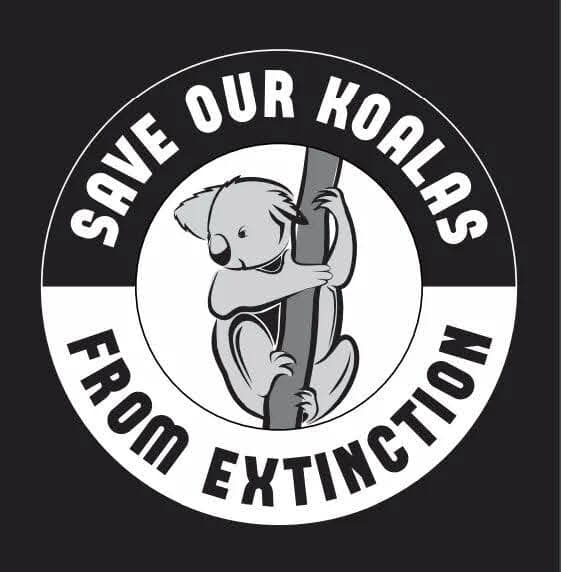 Save The Koala Habitat in Port Stephens